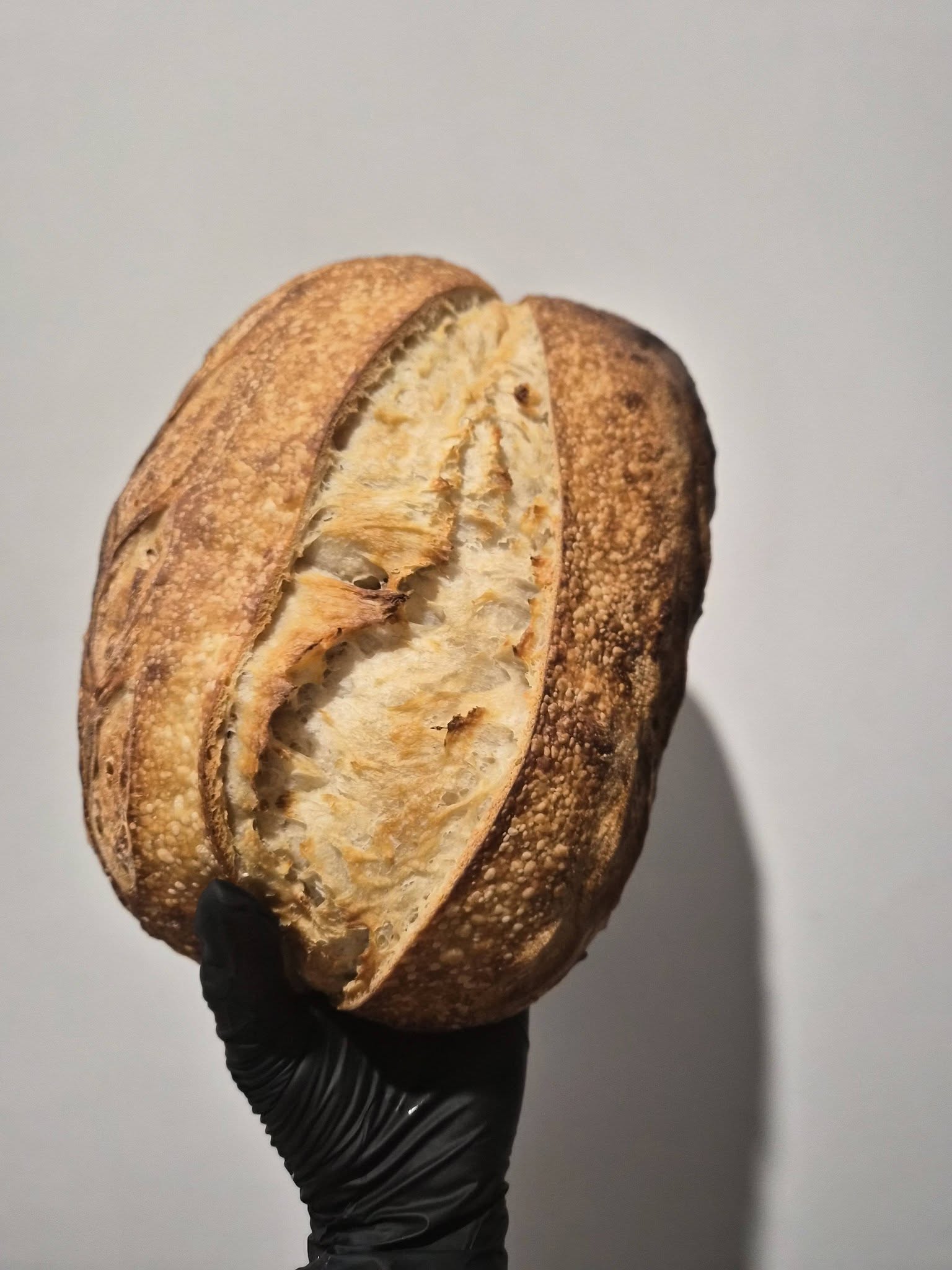 A golden Little Loaf sourdough with a deeply scored crust